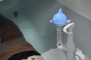 保养身体！詹姆斯晒训练后回家泡冰水浴 促进下肢恢复